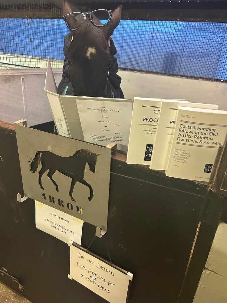 A horse with glasses on their head reading a printed brief that says Lord Justice Arrow of the Carrot Court, between Simon the Shetland and the Vet. After reviewing the case, I consider that neigh means neigh, the vet should stop horsing around with the law and provide all horses with reasonable damages (treats) following any veterinary treatment. THere is a sign for Bar(n) Chambers, as well as a sign that reads Do Not Disturb: I am preparing for my a-rein-ment