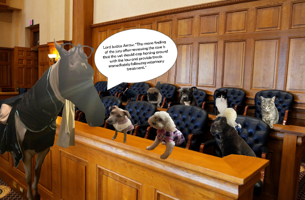 A horse with glasses on his head, stood next to a jury made of dogs and cats. His speech bubble reads: "Lord Justice Arror: "The mane finding of the jury after reviewing the case is that the vet should stop horsing around with the law and provide treats immediately following veterinary treatment""
