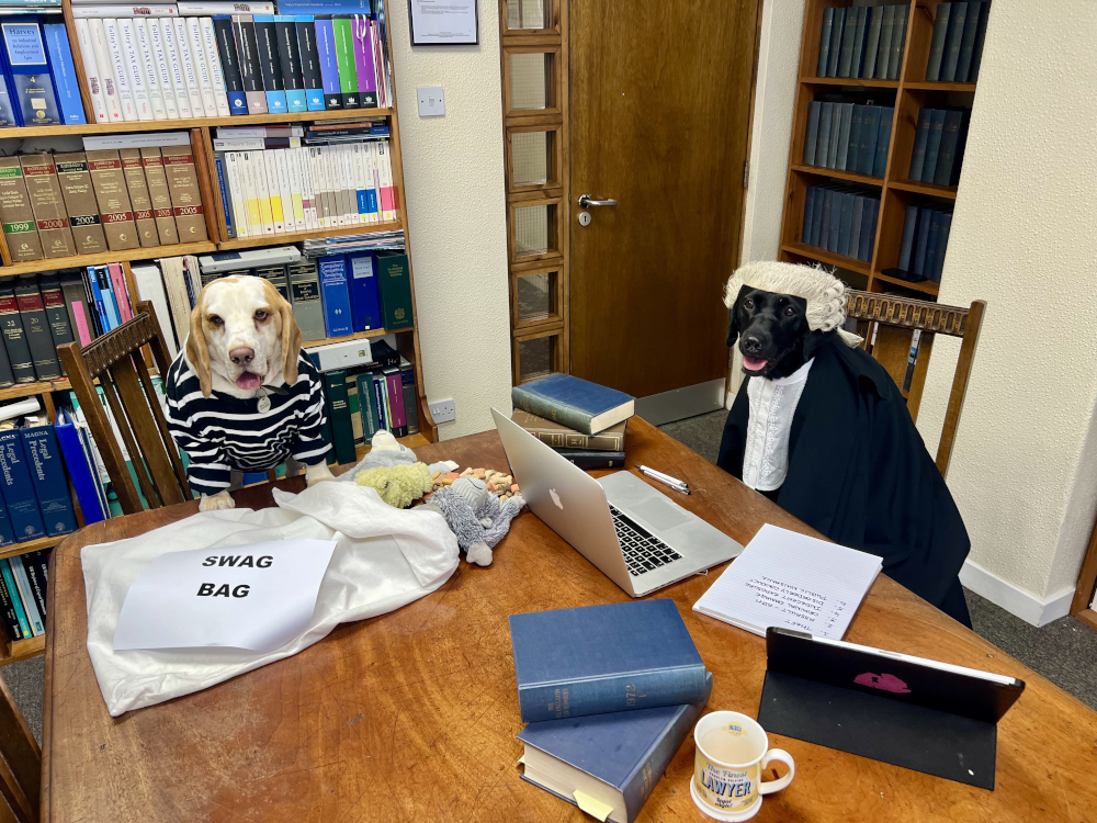A dog in a robber outfit is sat next to a bag labelled Swag Bag, it's full of dog toys. A dog in a barrister wig and gown is sat next to him in front of an open laptop