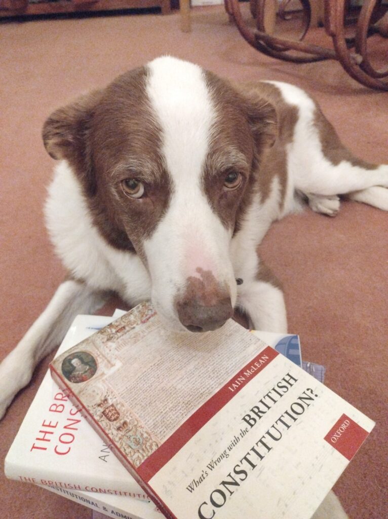 A dog sits looking at the camera, with several books in front of him, including one callsed What's Wrong with the British Constitution