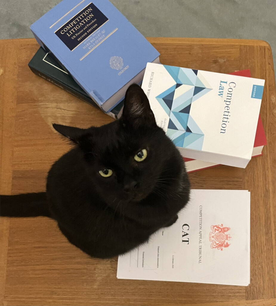 A black cat with law books and a certificate that says CAT (Competition Appeal Tribunal)