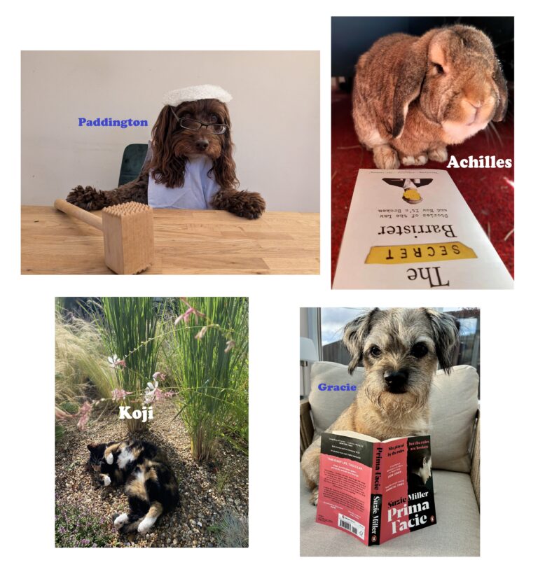 Vote now for the face of April 2026!