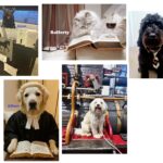 Vote here for the face of December 2026!