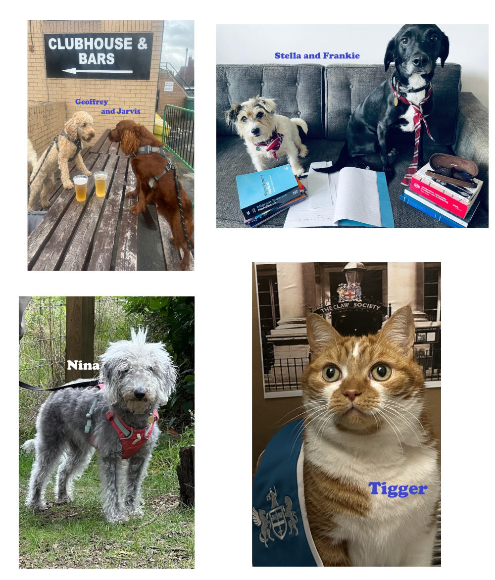 You are currently viewing Vote now for the face of June 2026!