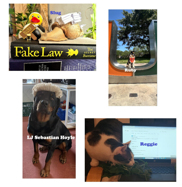 A collage of 4 photographs. Slug is a giant snail in a barrister wig with a duck and a tiny pint. Ruby is a dog in a mortarboard. LJ Sebastian Hoyle is a dog in a barrister wig. Reggie is a cat on a laptop with catnip