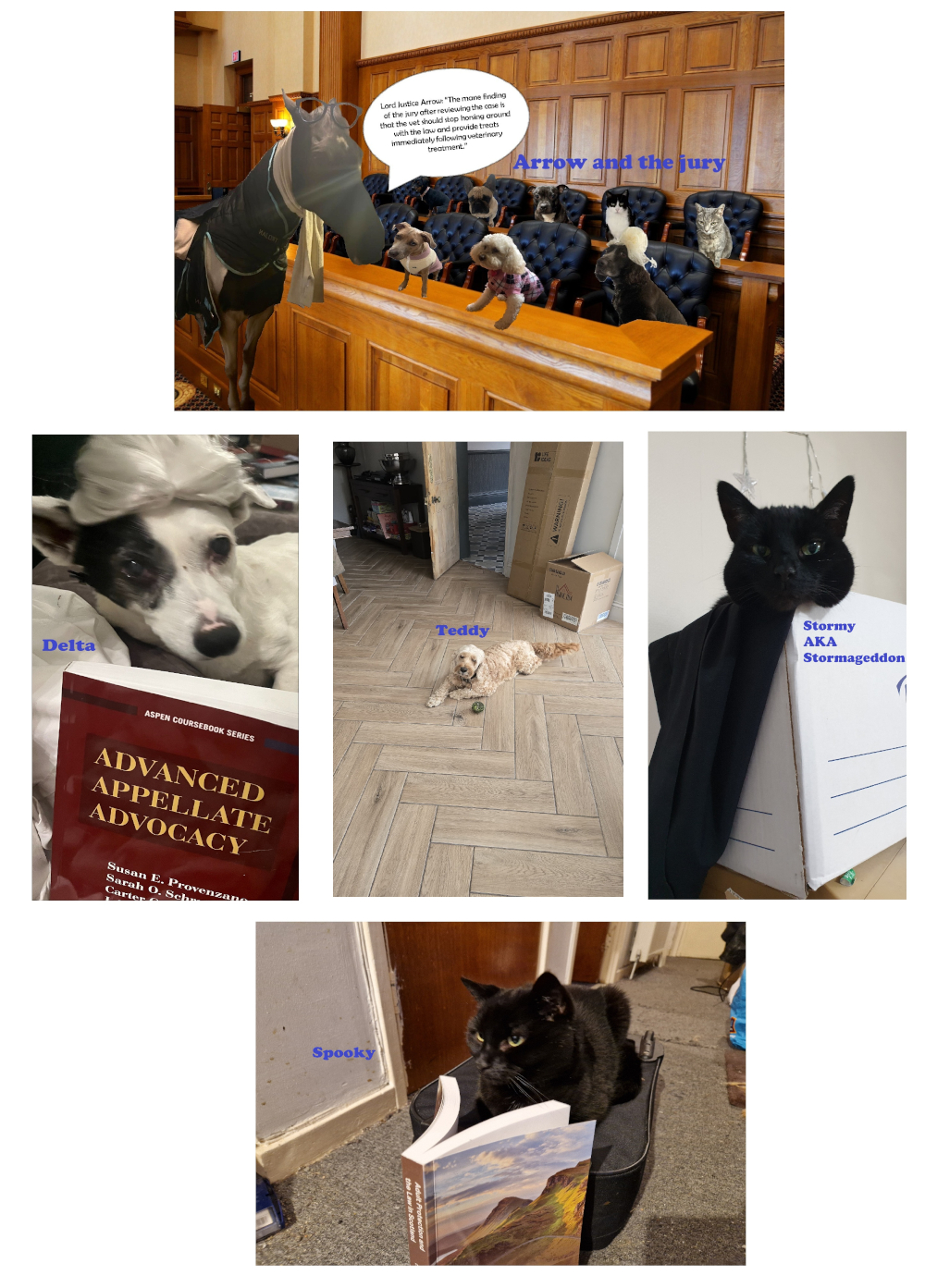 You are currently viewing Vote now for the face of September 2026!