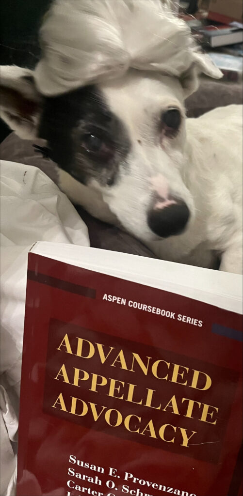 A dog in a white wig, with a book called Advanced Appellate Advocacy