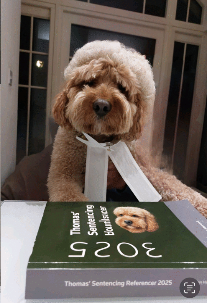 A dog in a barrister wig and bands, sat next to a law book with his face on it