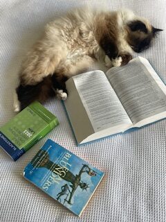 A beautiful cat asleep next to several law books