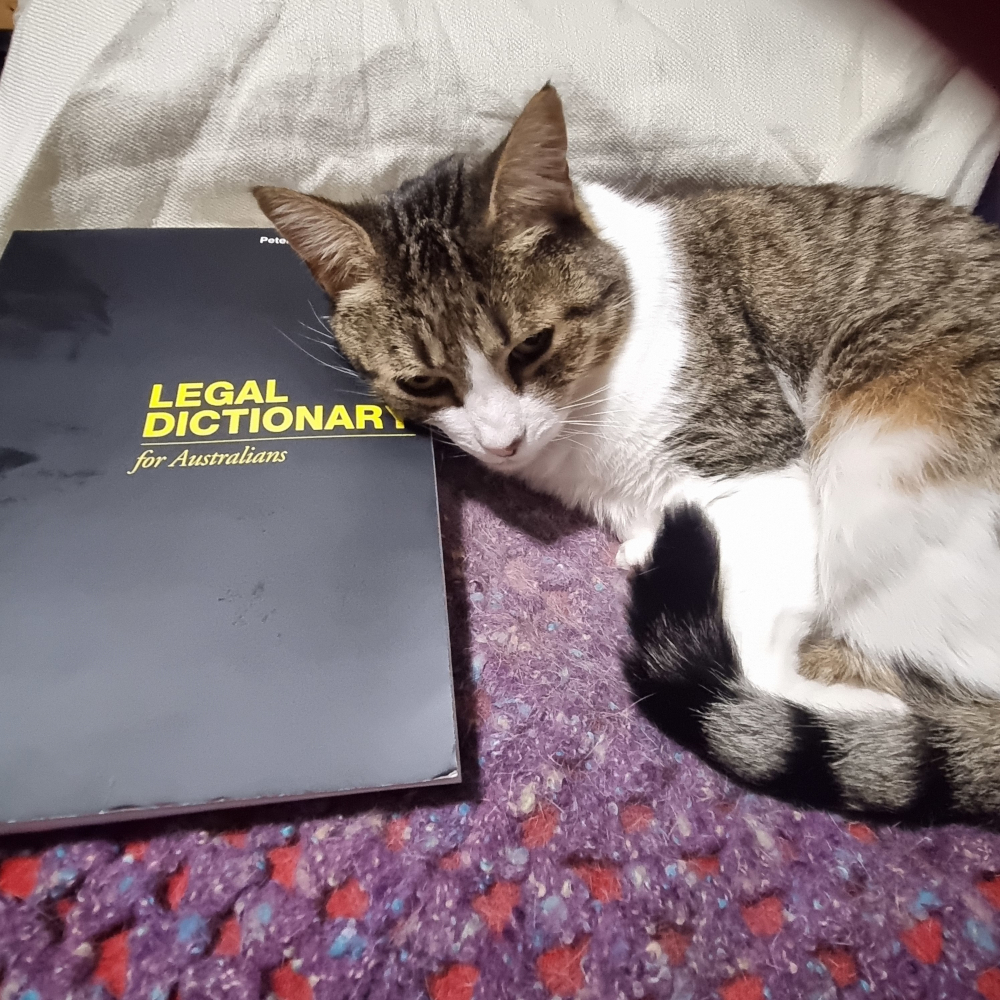 A cat lying on a blanket, with her head on a book called Legal Dictionary for Australians