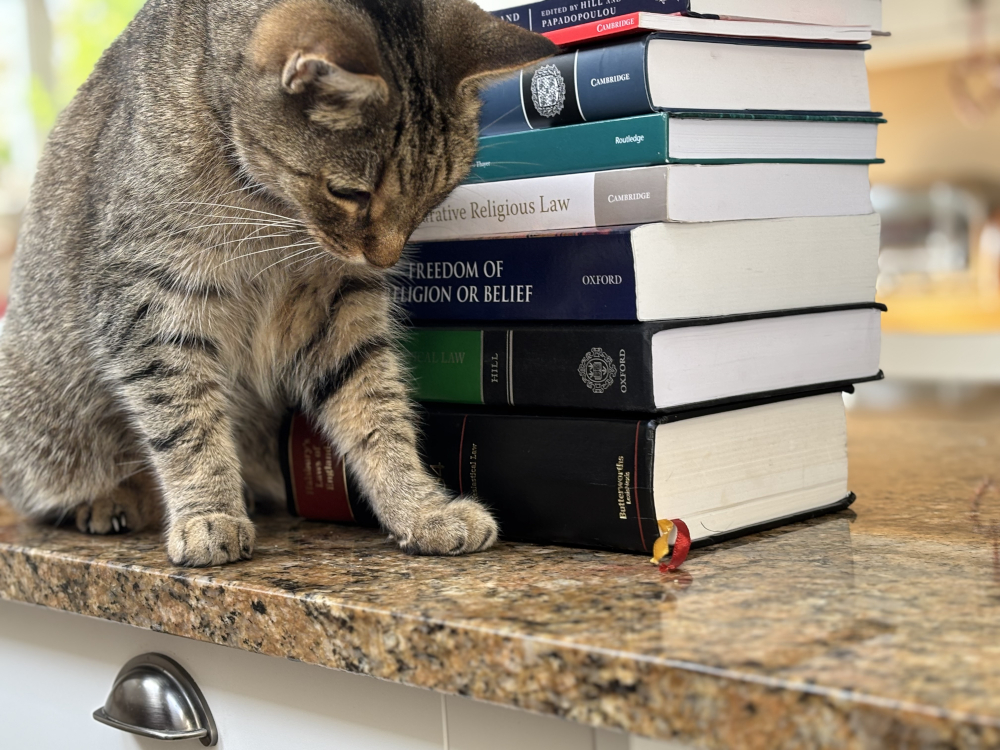 A cat stood next to a pile of books. It's leaning down, looking at a set of ribbons poking out of the bottom book