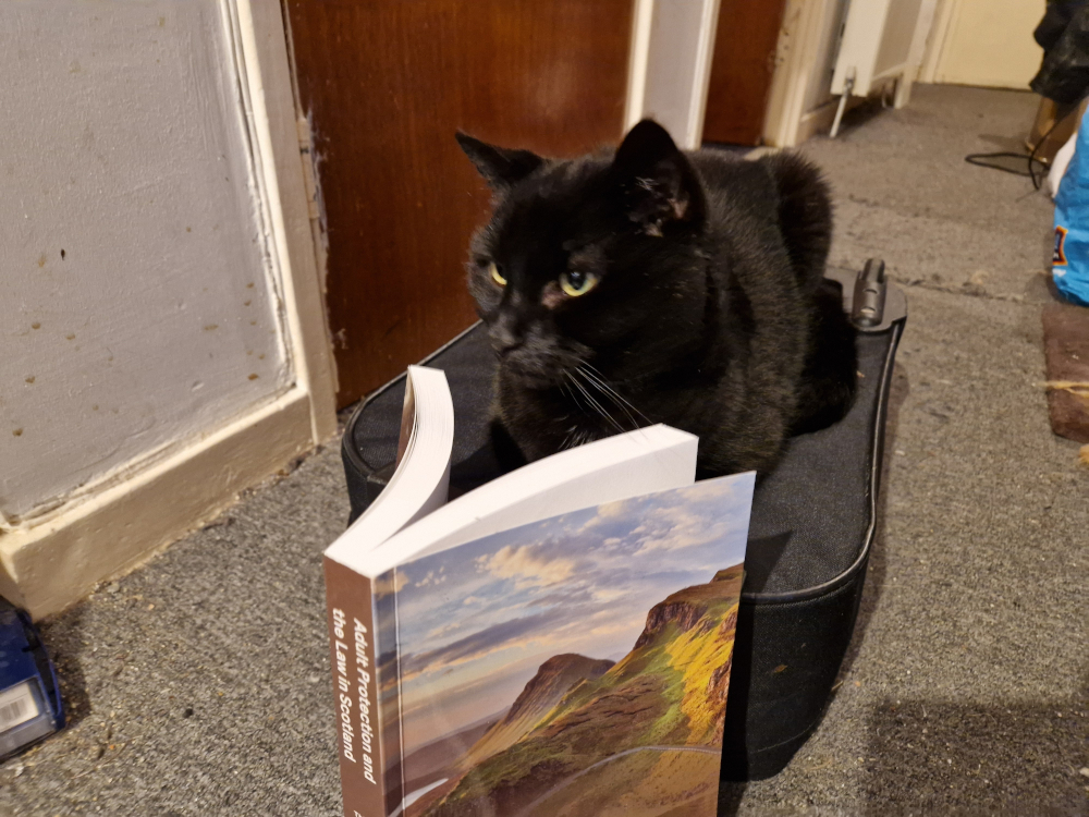 A black cat reading an open law book